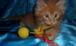 14june-hugo4