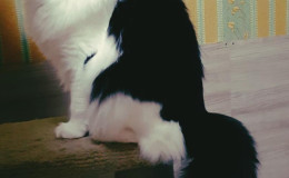 IMG-20250823-WA0008